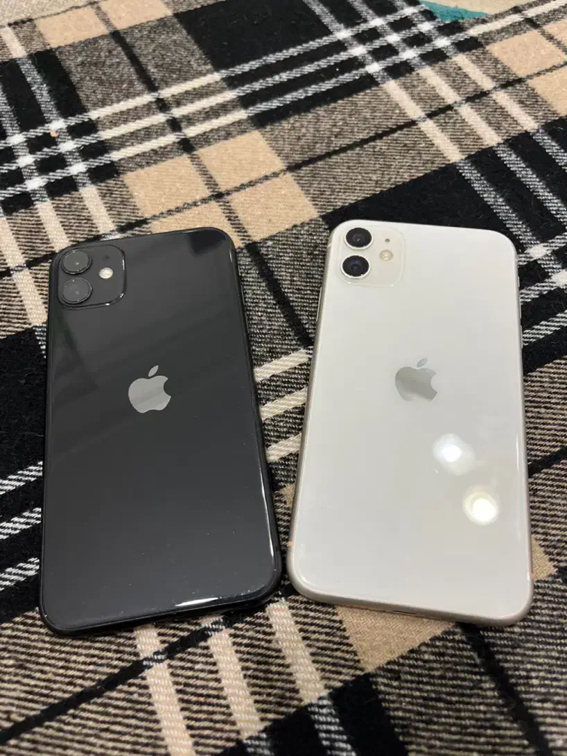 دو عدد آیفون 11 نرمال مشکی و سفید|موبایل|رشت, هلال احمر|دیوار
