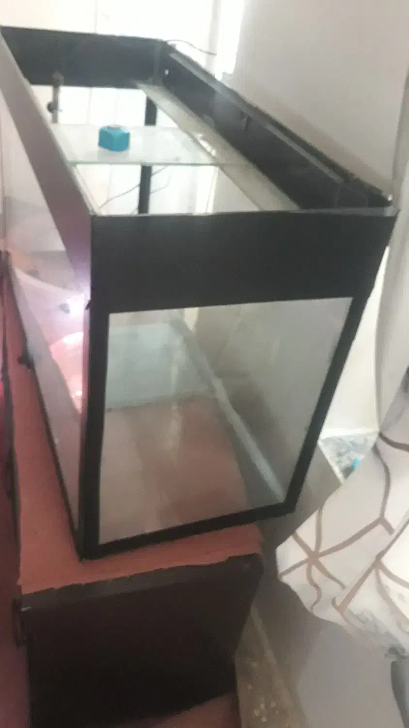 آکواریوم.|ماهی|خرمآباد, |دیوار