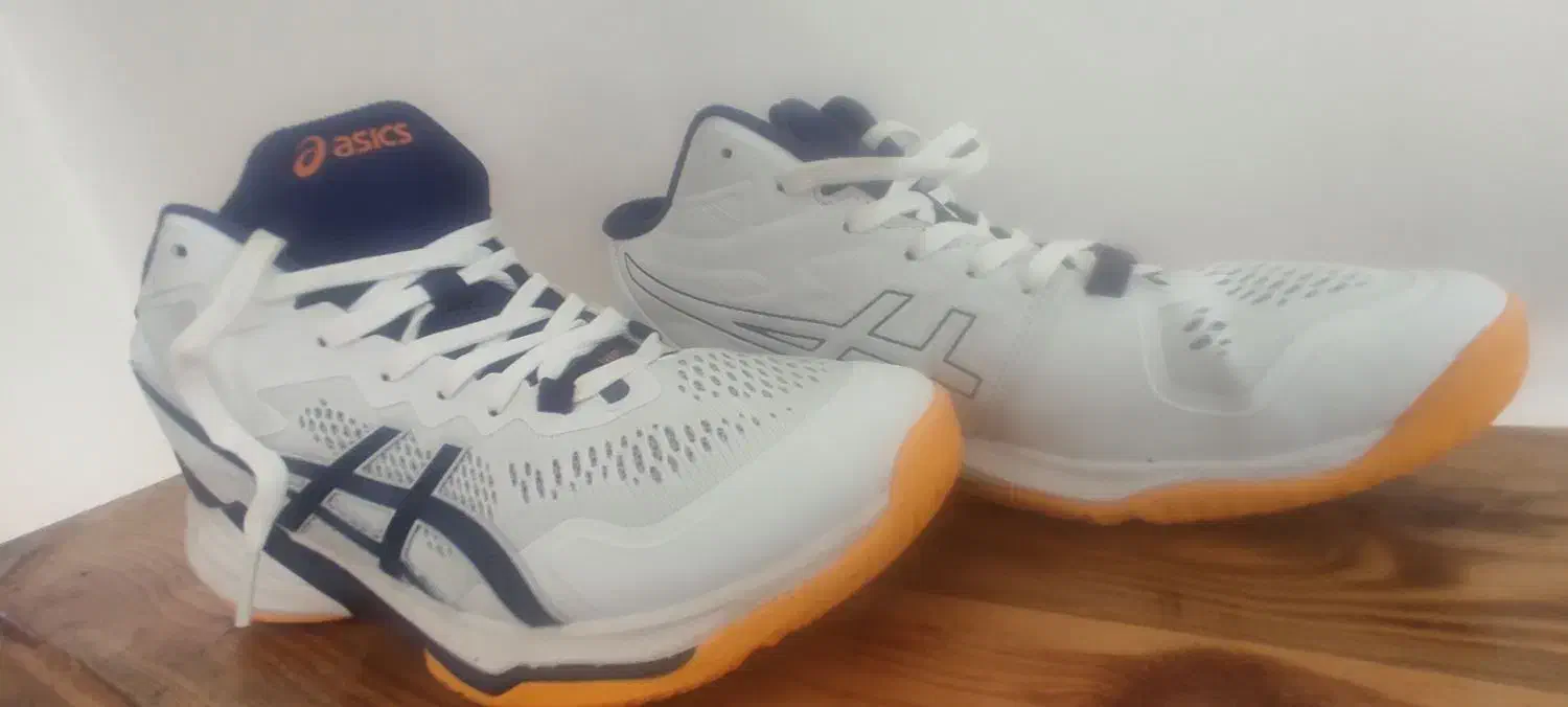 کفش والیبال|کیف، کفش، کمربند|گنبد کاووس, |دیوار