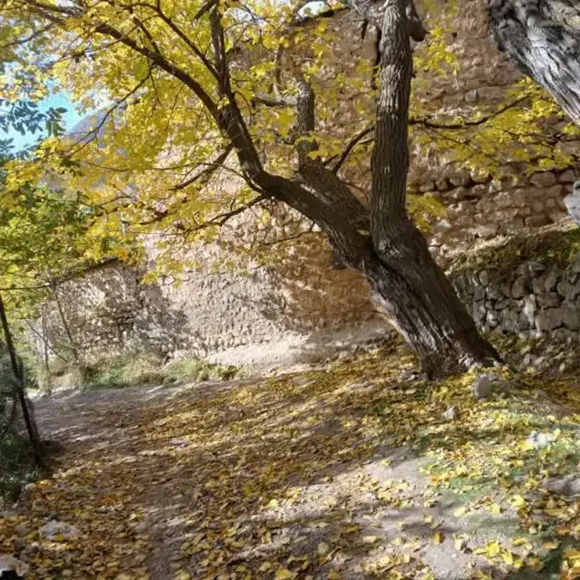 195متر زمین داخل بافت جاده چالوس|فروش زمین و ملک کلنگی|آسارا, |دیوار