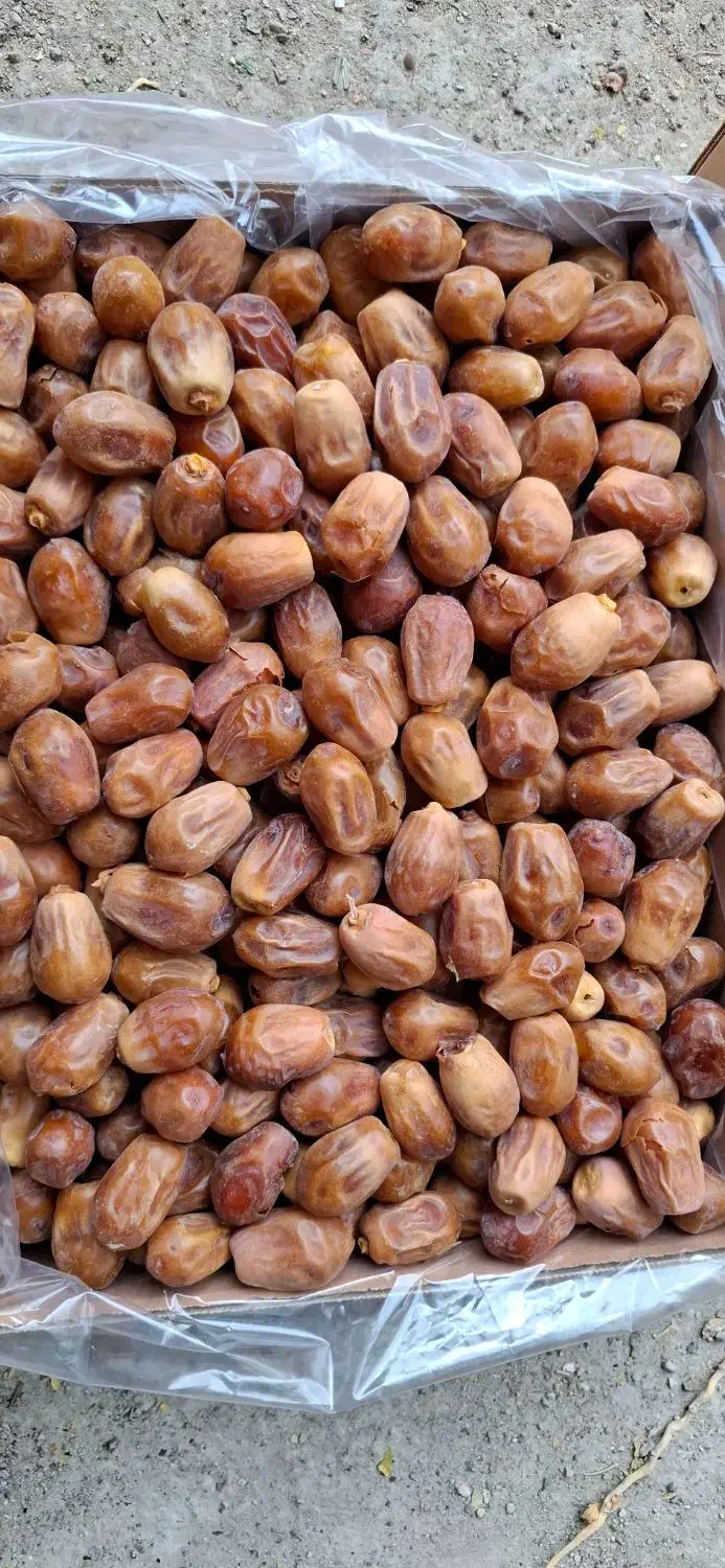 فروش خرمای زاهدی|عمدهفروشی|قیروکارزین, |دیوار