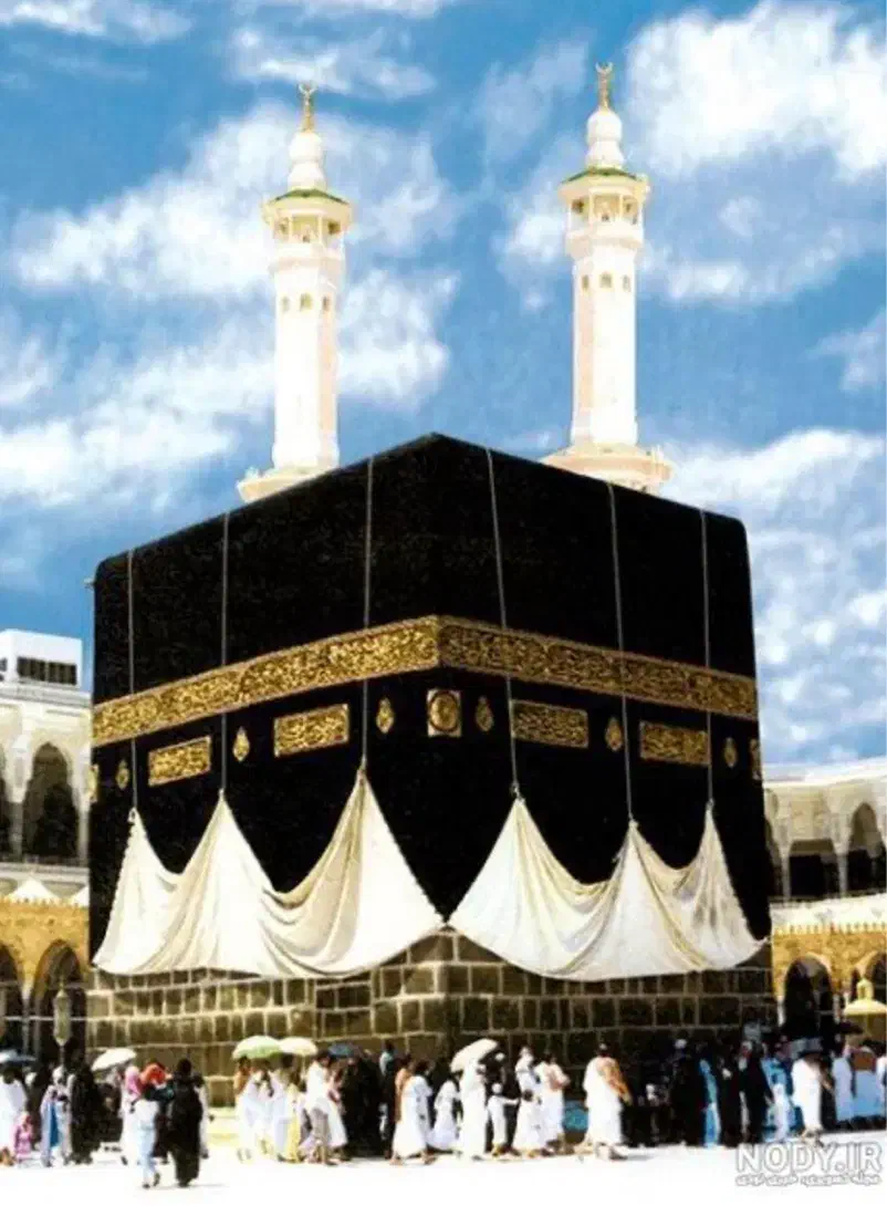 فروش فیش حج|تور و چارتر|شاهرود, |دیوار