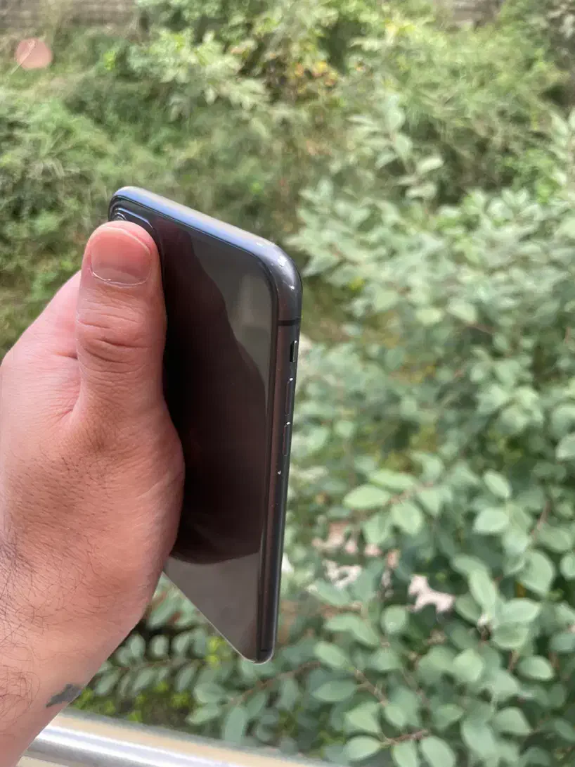 ایفون۱۱ نرمال|موبایل|چالوس, |دیوار