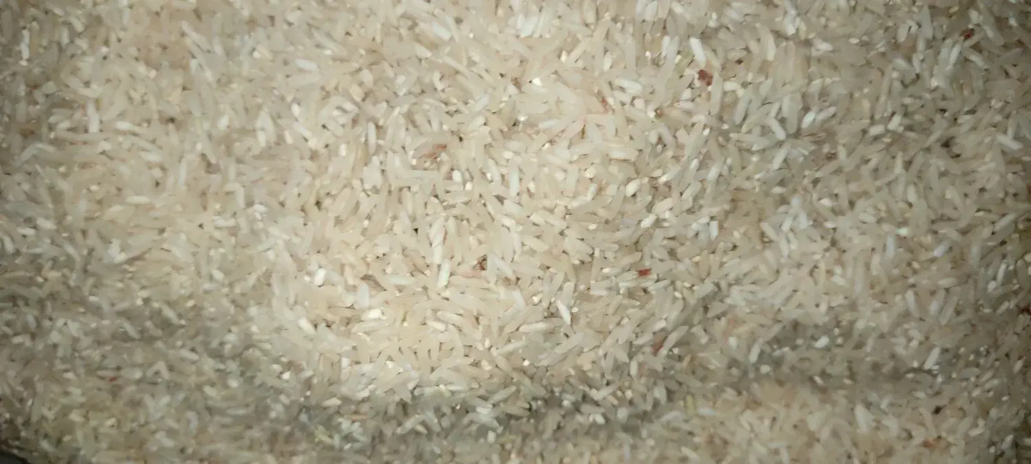 برنج ضیغمی کارزان|خوردنی و آشامیدنی|کارزان, |دیوار