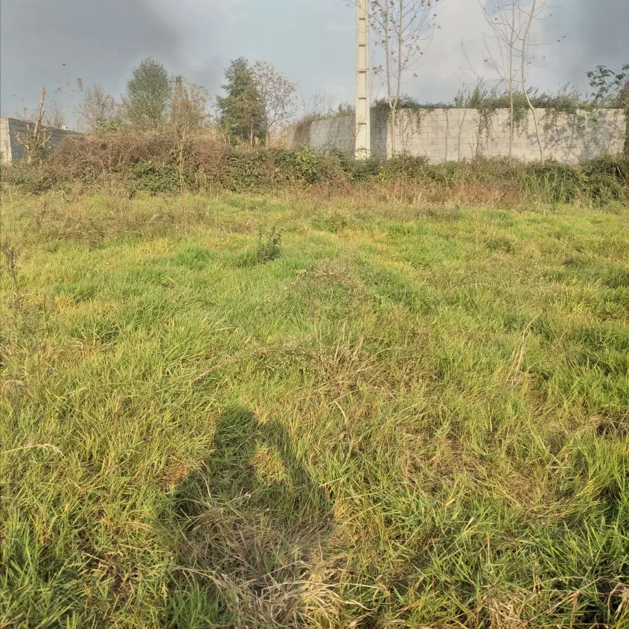 زمین باغی|فروش زمین و ملک کلنگی|رشت, جانبازان|دیوار