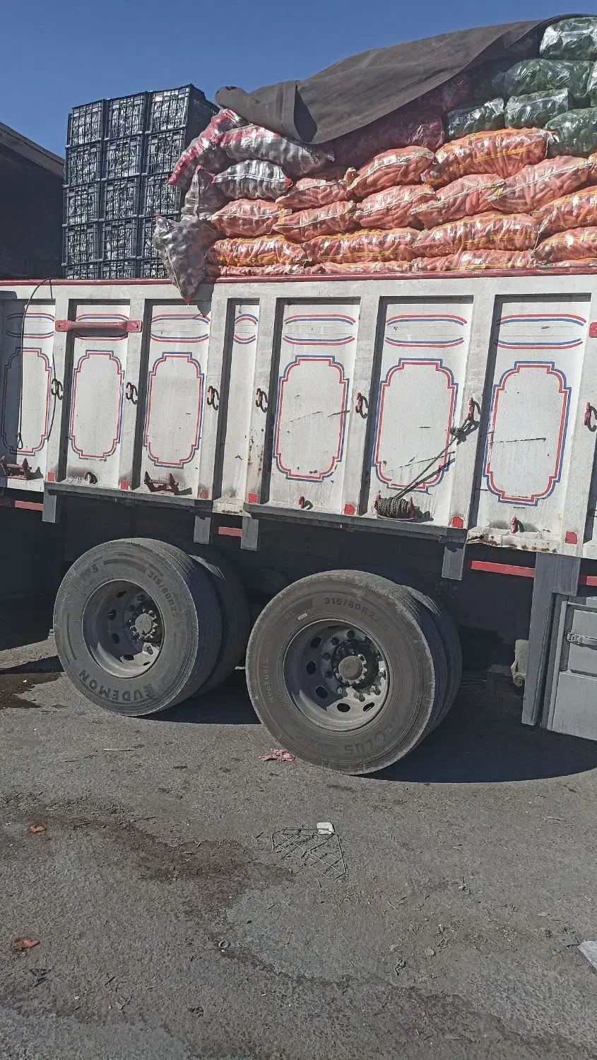 fm9voLvo اف ام|خودرو سنگین|آفتاب, |دیوار