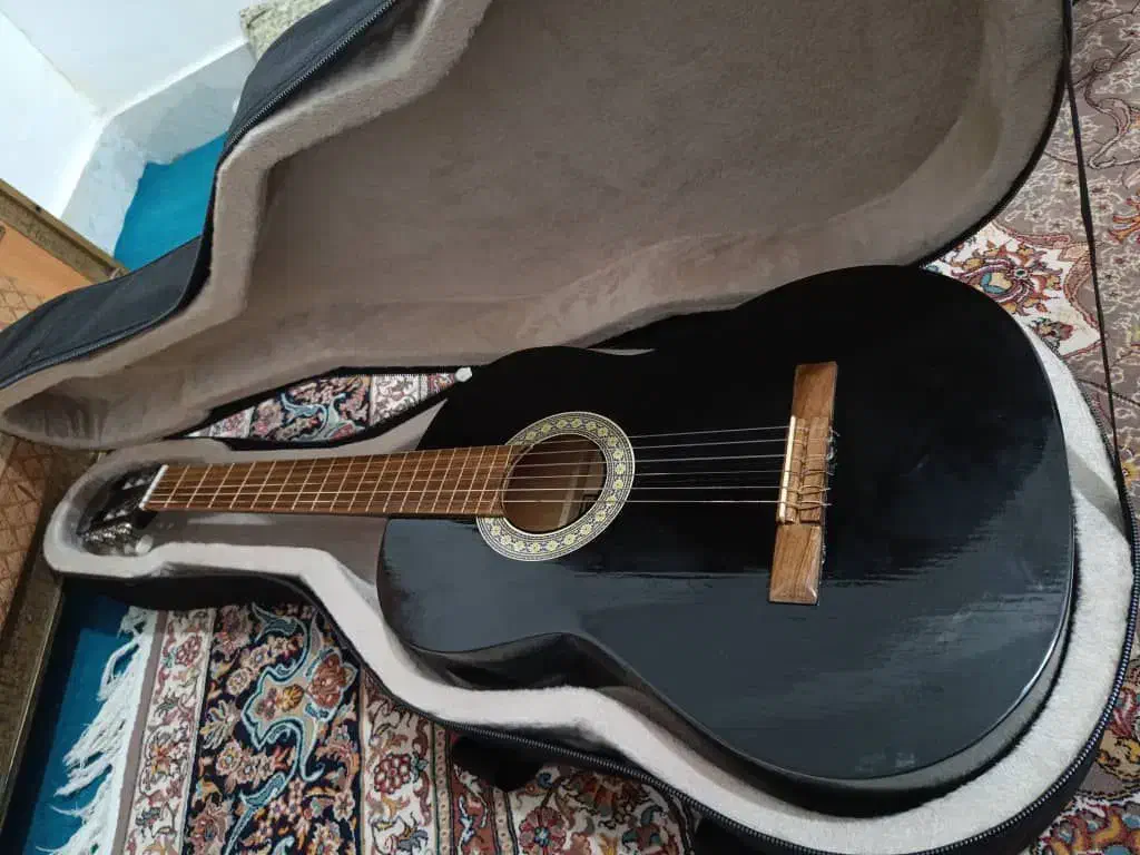 گیتار کلاسیک|گیتار، بیس، امپلیفایر|پرند, فاز ۶|دیوار