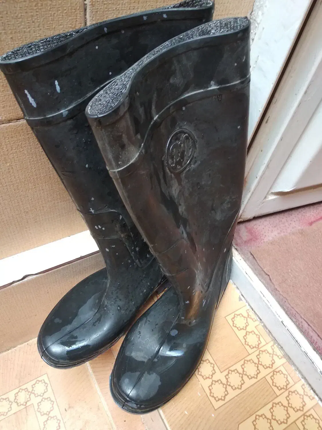 چکمه نونو|کیف، کفش، کمربند|شوشتر, |دیوار