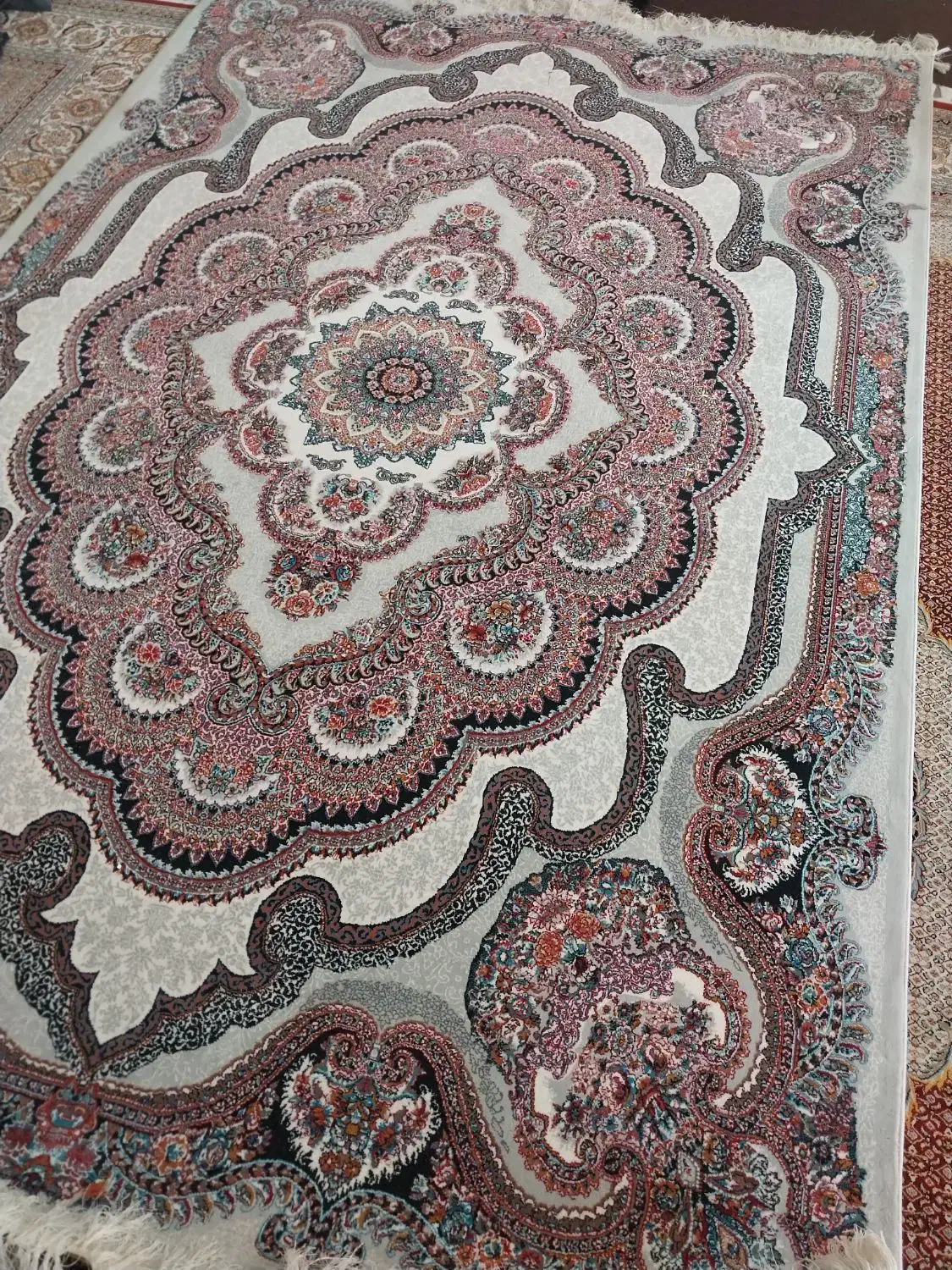 یک جفت فرش۶متری ۷۰۰شانه۲۵۵۰تراکم واقعی پلم|فرش|شیراز, شهرک فرزانگان|دیوار