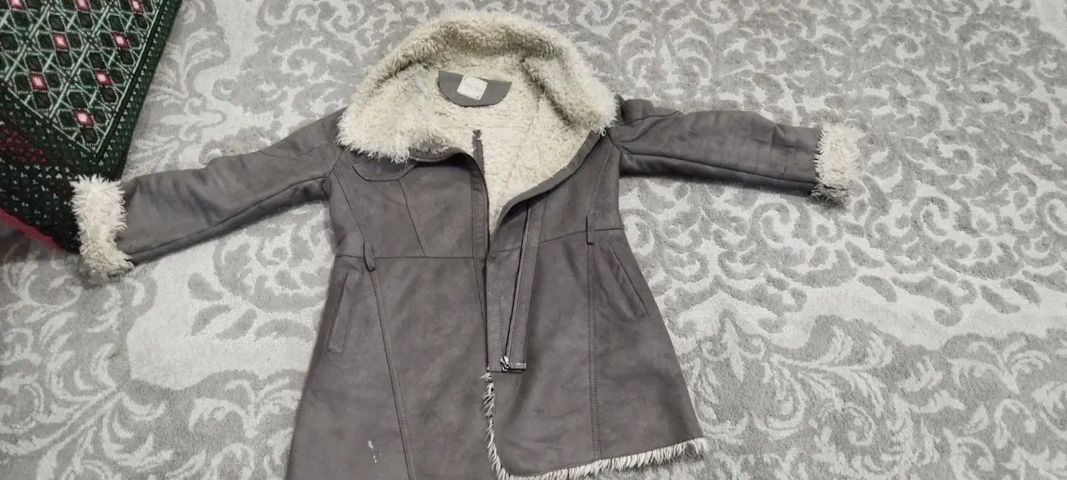 بوفالو چرم|لباس|زاهدان, |دیوار