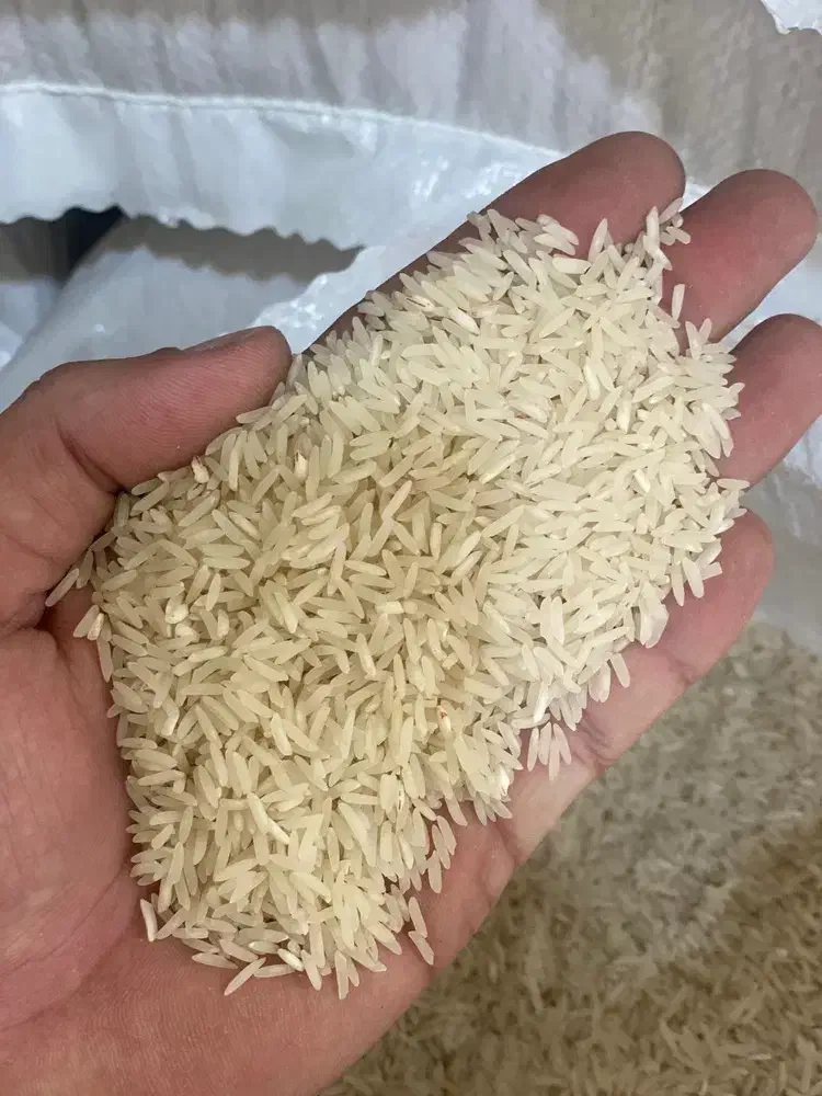 فروش برنج فجرسوزنی  و دم سیاه و لاشه مینودشت|خوردنی و آشامیدنی|مینودشت, |دیوار