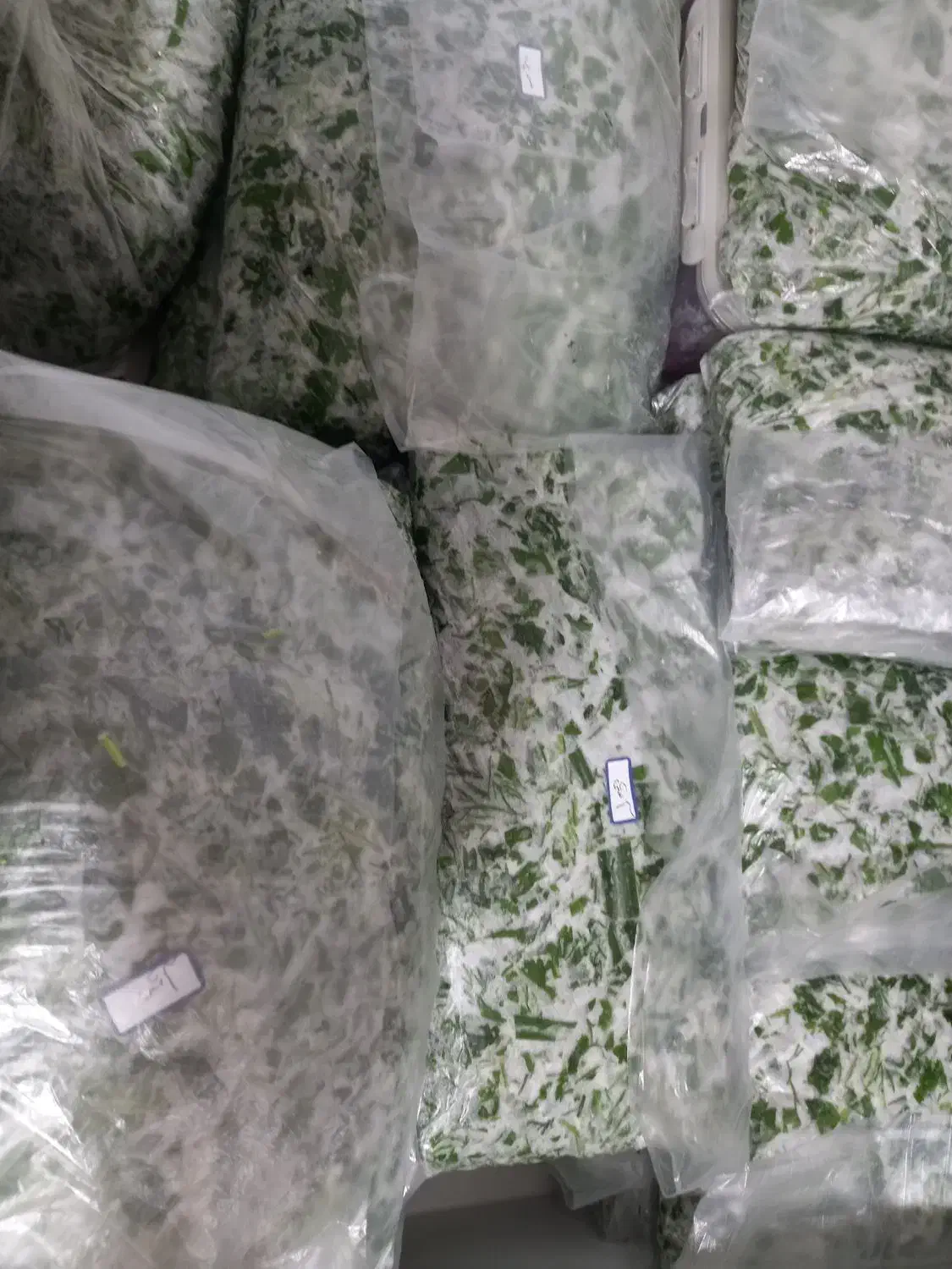 سبزی خورشتی رامهرمز|خوردنی و آشامیدنی|اهواز, کوی آغاجاری|دیوار