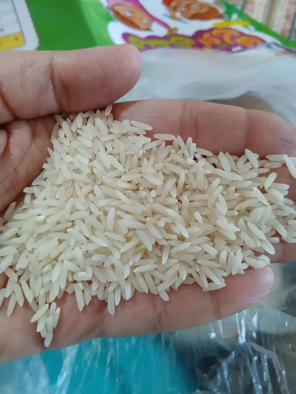 برنج نوج طارم هاشمی فریدونکنار|خوردنی و آشامیدنی|فریدون‌کنار, |دیوار