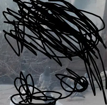 کبوتر نر|حیوانات|بجنورد, |دیوار