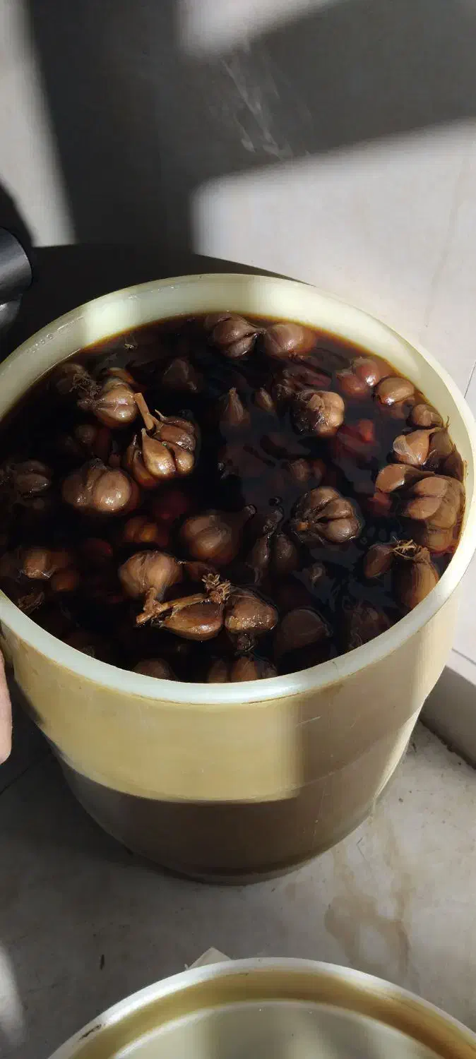 سرکه سیب حکیم|خوردنی و آشامیدنی|مشگین شهر, |دیوار