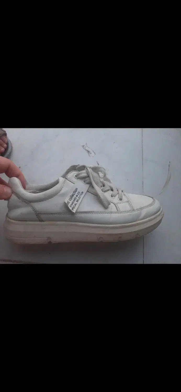 تعدادی کفش سایز 39و 40|حراج|بندرعباس, |دیوار