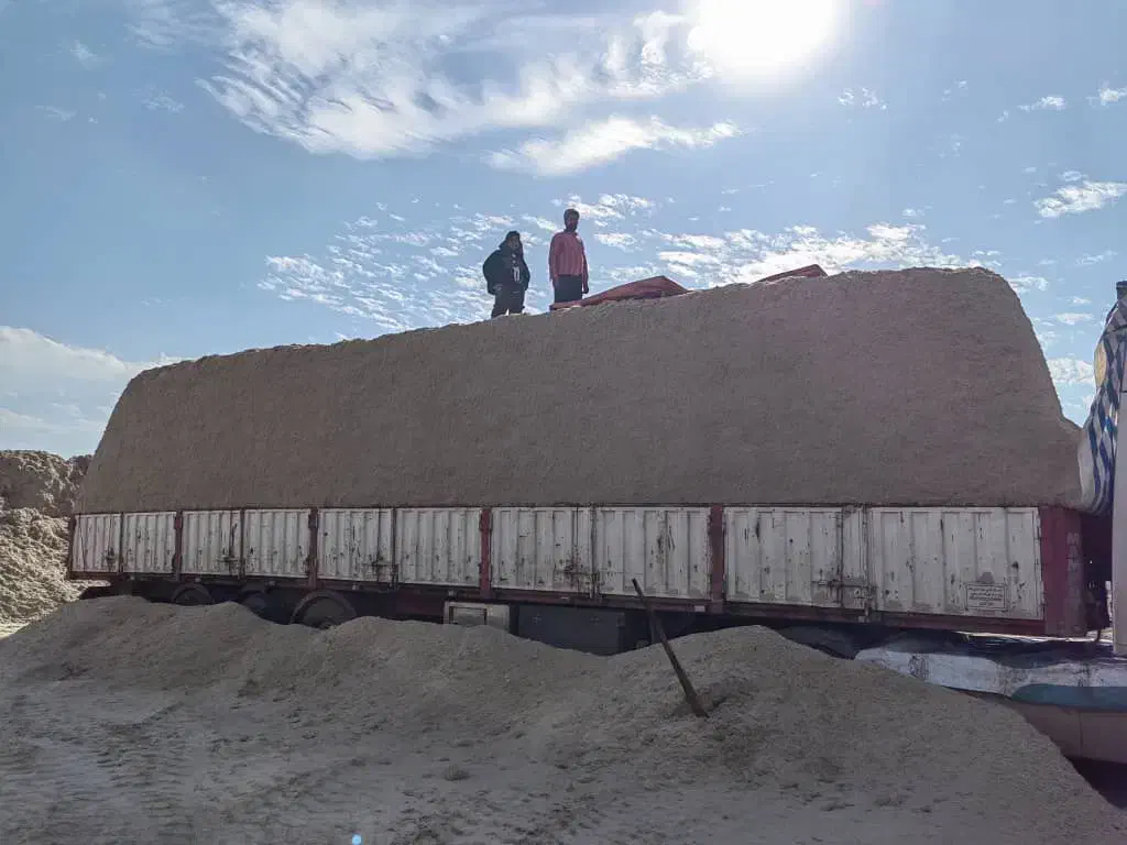 باگاس کاه نیشکر تازه|حیوانات مزرعه|اصفهان, حصه جنوبی|دیوار