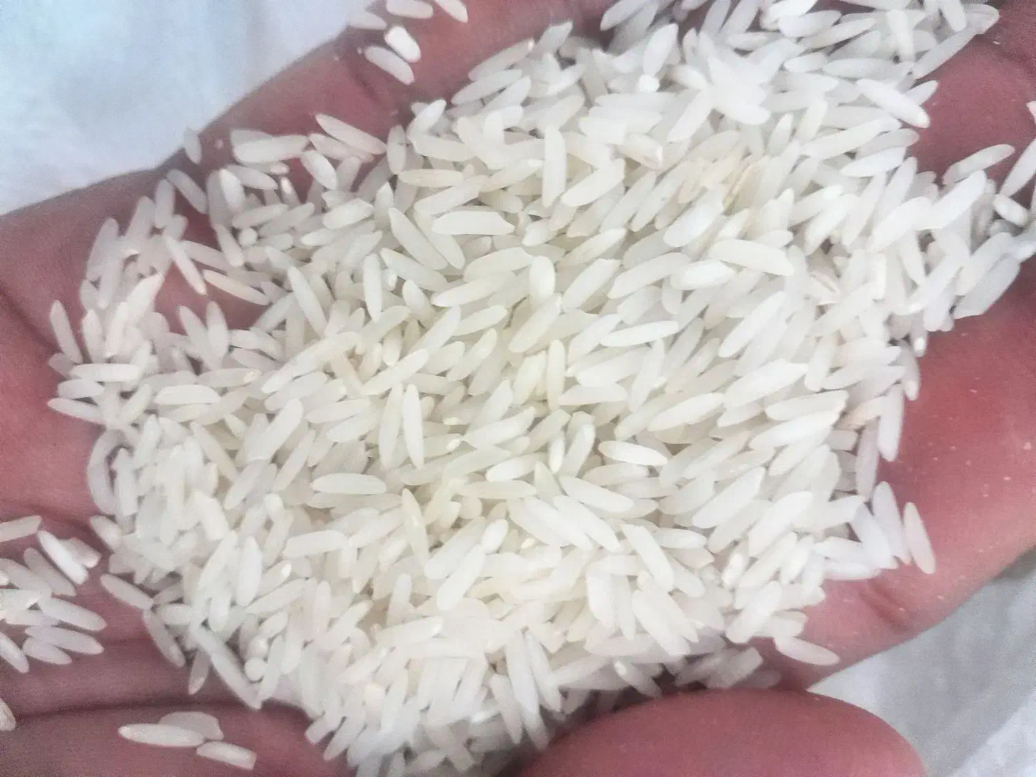 برنج هاشمی اصل دره رود|خوردنی و آشامیدنی|پارس‌آباد, |دیوار