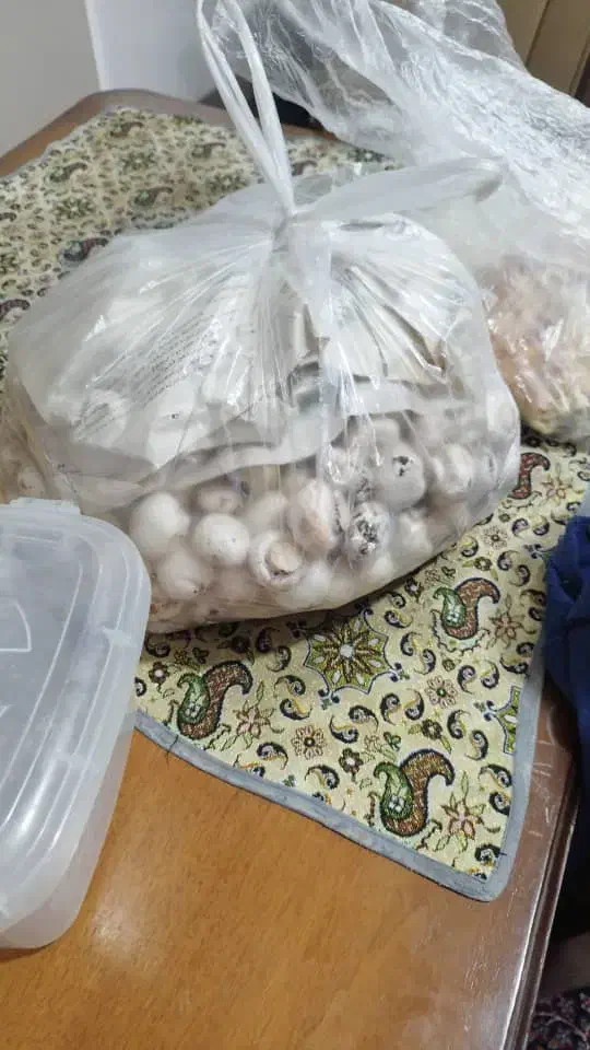 قارچ درجه یک و تو پر تکی و عمده|خوردنی و آشامیدنی|ساری, |دیوار