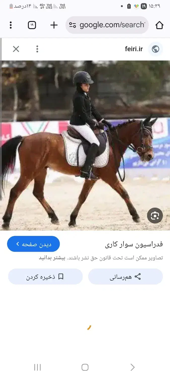 پانسیون نگهداری اسب و سوارکاری|اسب و تجهیزات اسب‌سواری|مشهد, وکیل‌آباد|دیوار