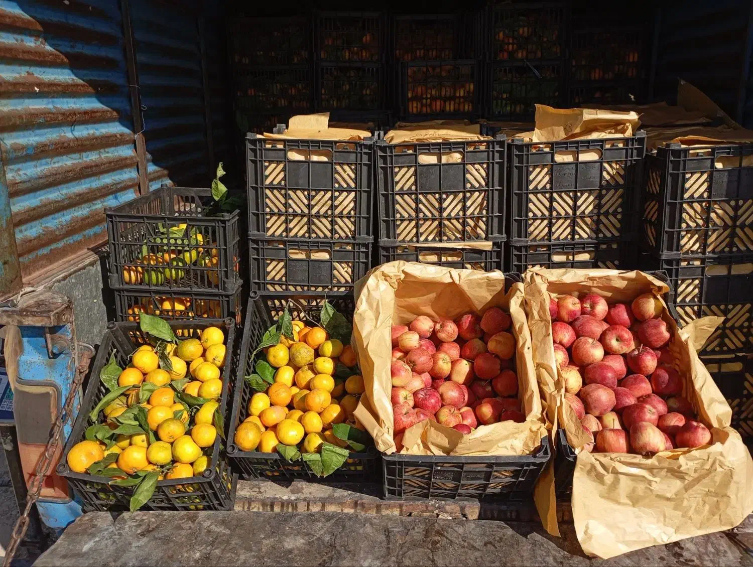 سیب قرمز استخوانی و نارنگی شیرین|خوردنی و آشامیدنی|جوانرود, |دیوار