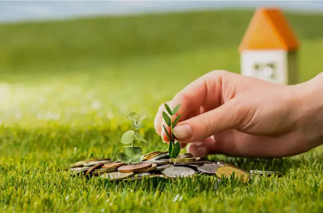 زمین مشاع نسوز|فروش زمین و ملک کلنگی|نورآباد, |دیوار