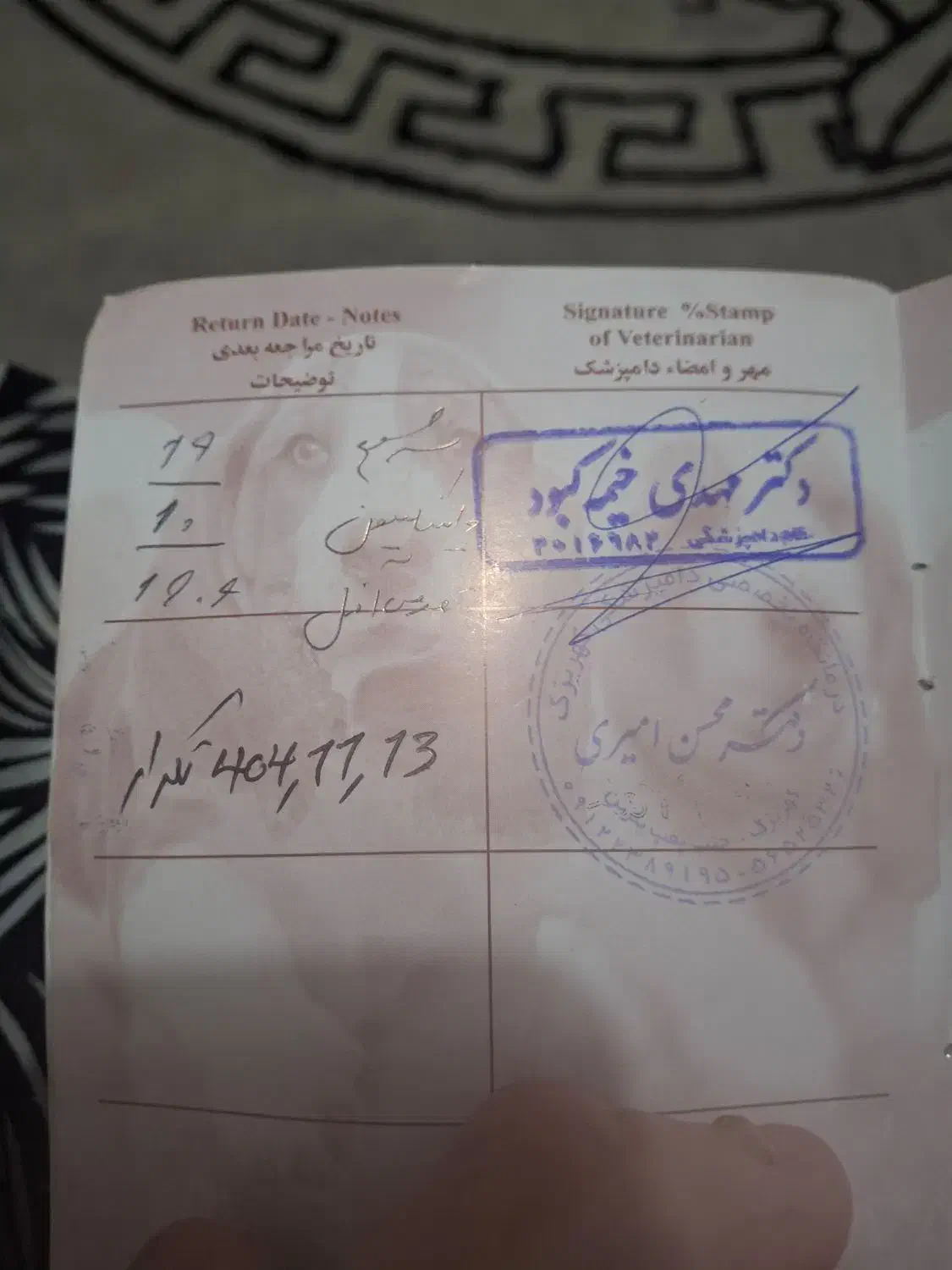 سگ به نام کوکو نژاد دار|سگ|کهریزک, |دیوار