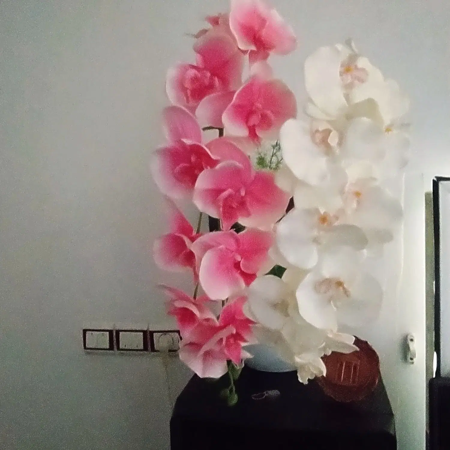 گل .|گل مصنوعی|مشگین شهر, |دیوار