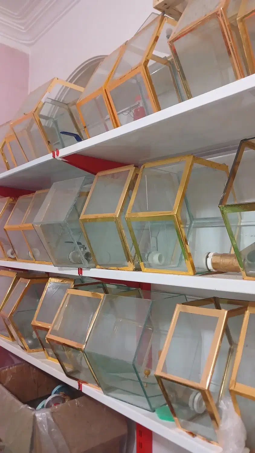 آکواریوم یا مخزن شیشه ای|ظروف نگهدارنده، پلاستیکی، یک‌بارمصرف|یزد, |دیوار