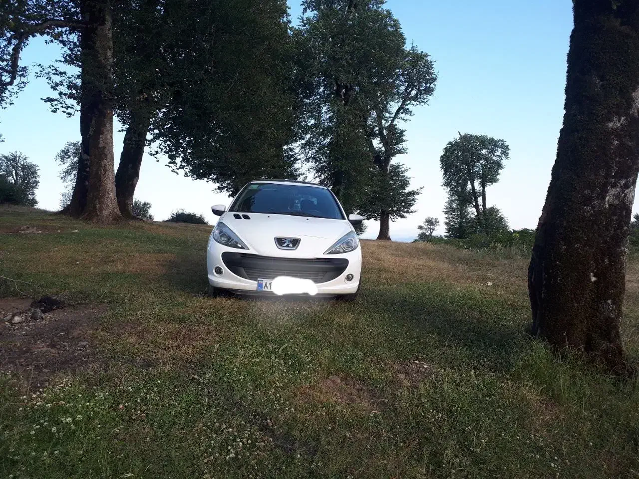 ماشین ۲۰۷|خودرو سواری و وانت|رشت, منظریه|دیوار