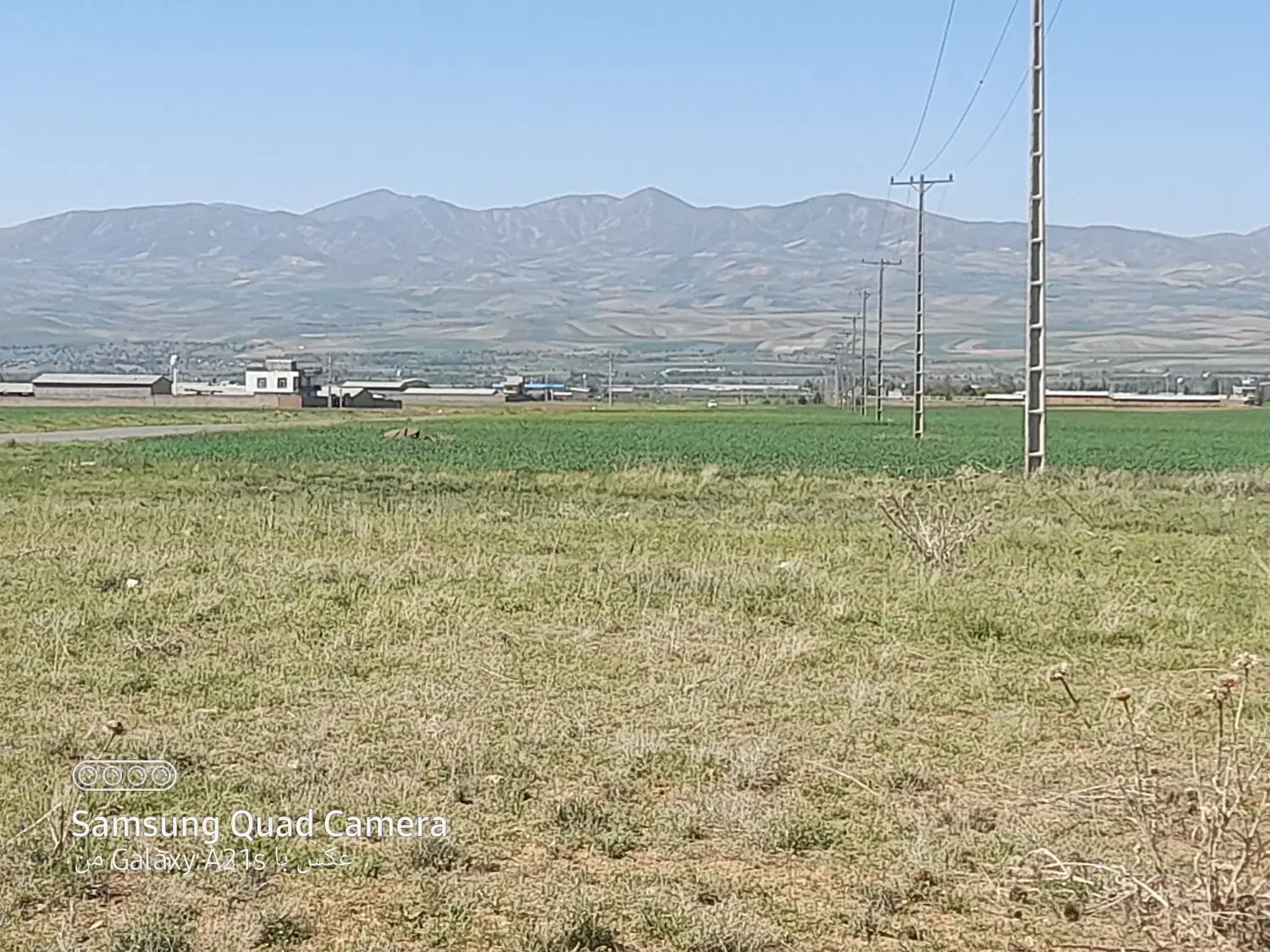 فروش زمین کشاورزی صنعتی|فروش دفتر صنعتی، کشاورزی، تجاری|صائین قلعه, |دیوار