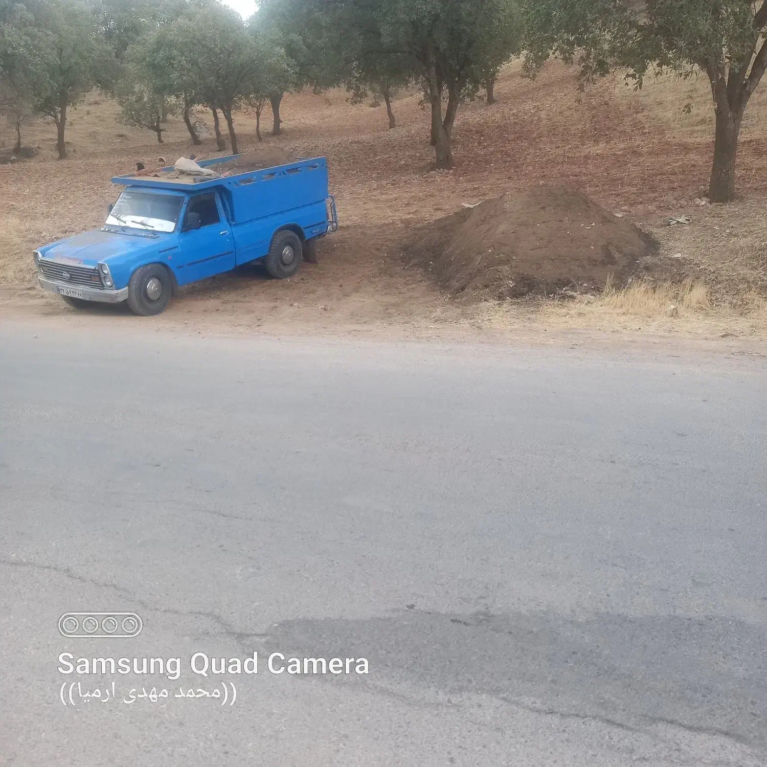 کود حیوانی وگاوی|گل و گیاه طبیعی|پاتاوه, |دیوار