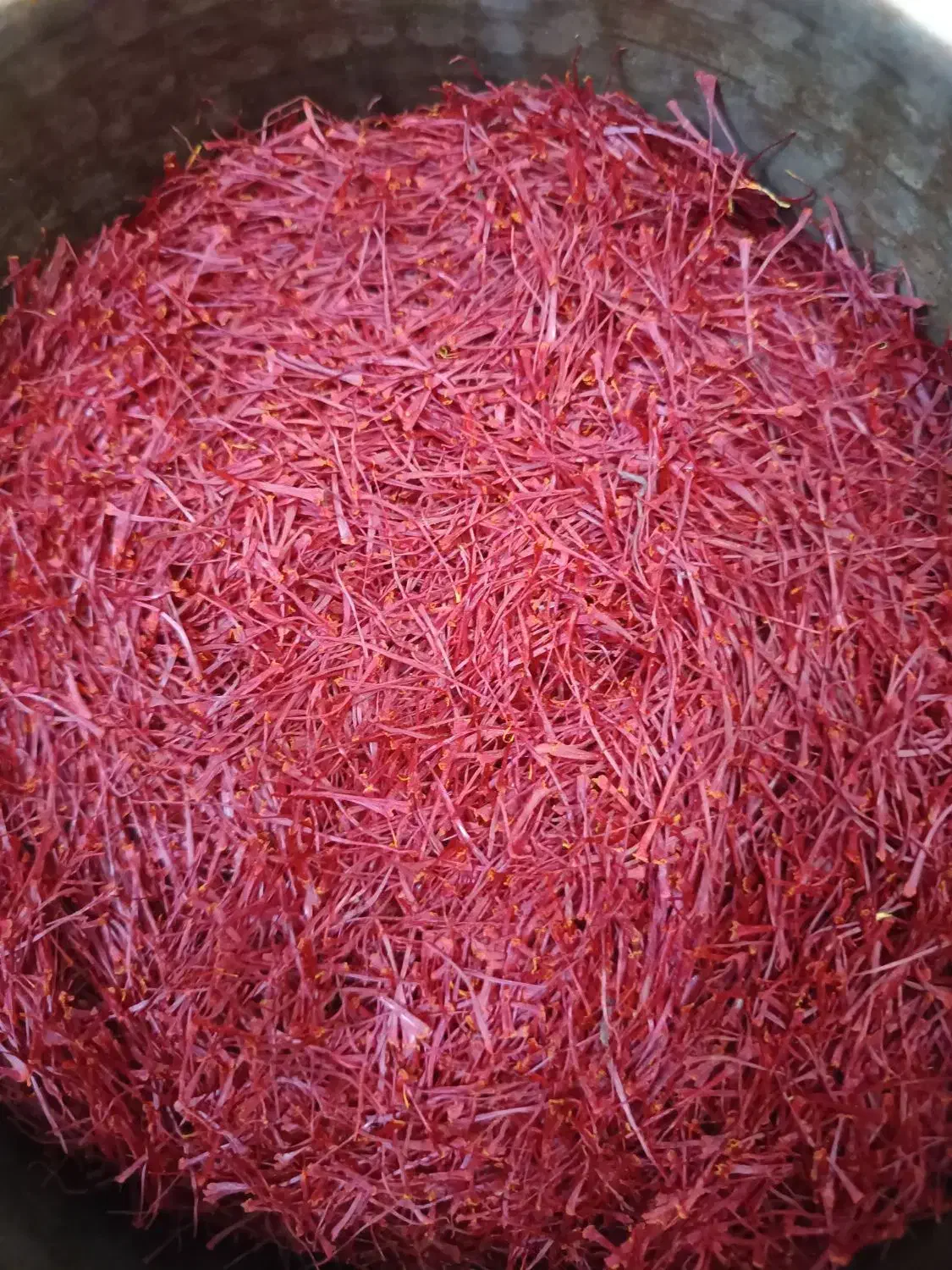 زعفران تربت|خوردنی و آشامیدنی|مشهد, کوی المهدی|دیوار