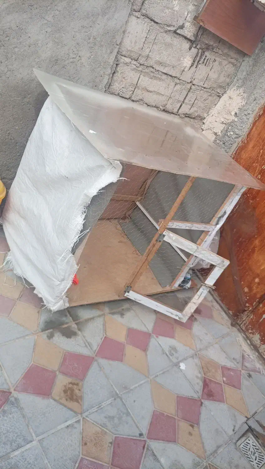 قفس|لوازم جانبی حیوانات|مشگین شهر, |دیوار