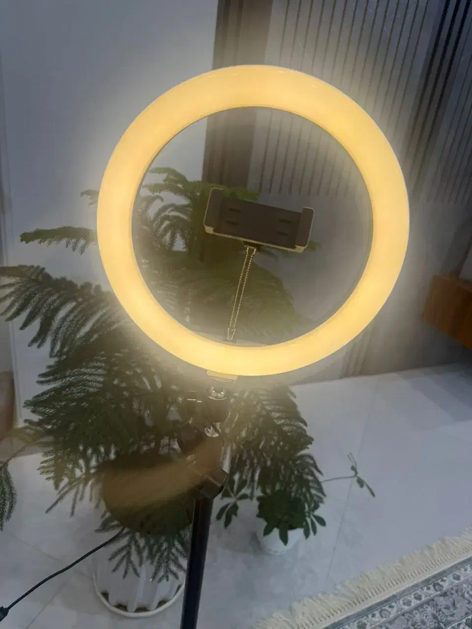 رینگ لایت|دوربین عکاسی و فیلم‌برداری|تهران, فلسطین (میدان انقلاب)|دیوار