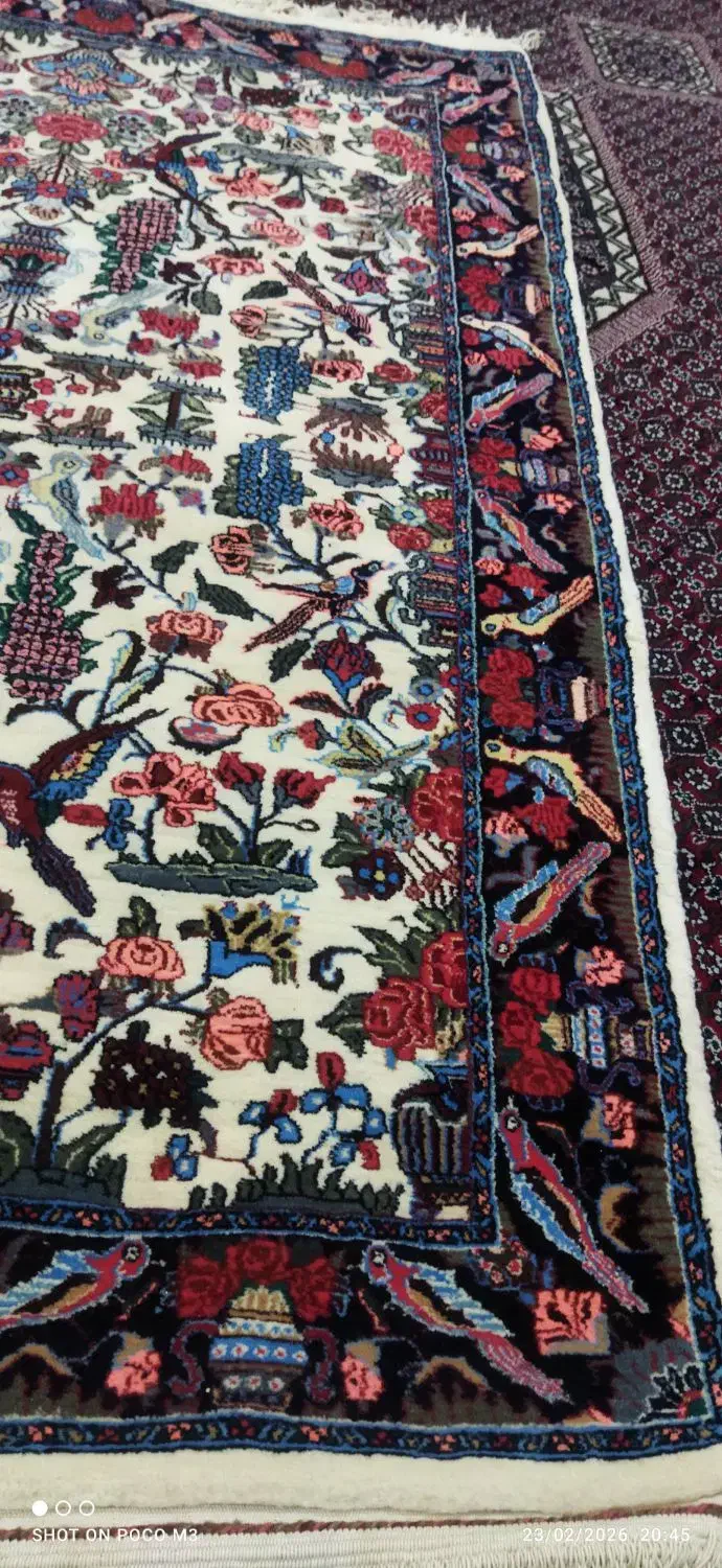 فرش|فرش|گلستان (تهران), |دیوار