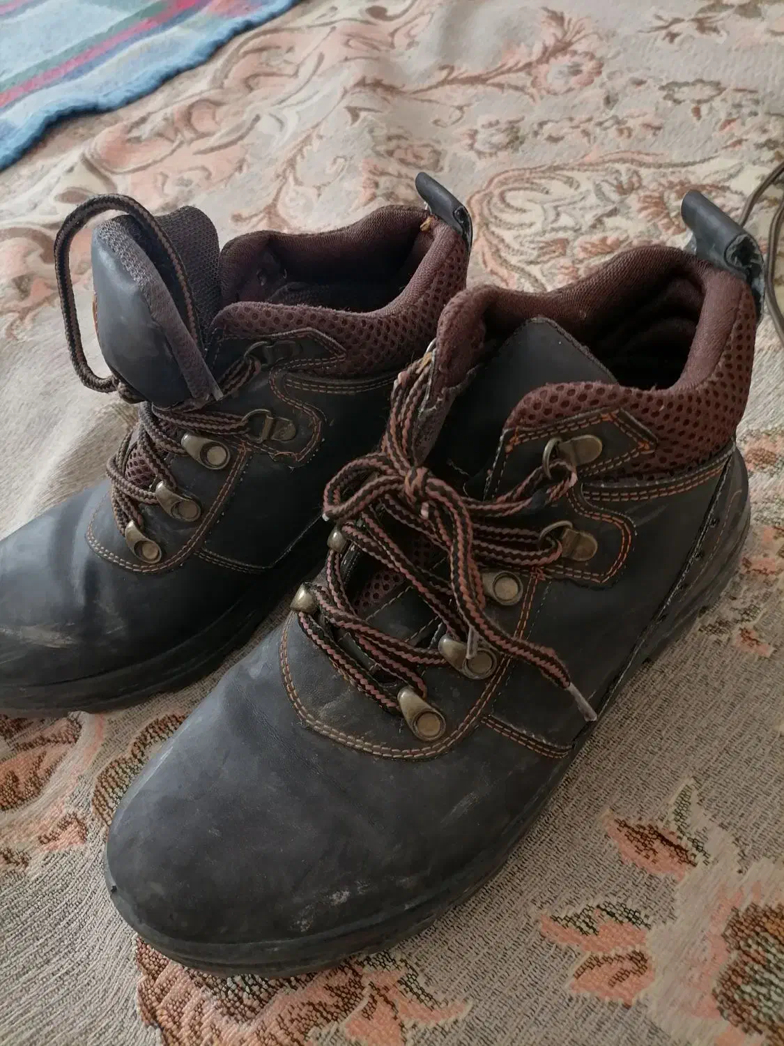 نیم پوتین|کیف، کفش، کمربند|سنندج, |دیوار