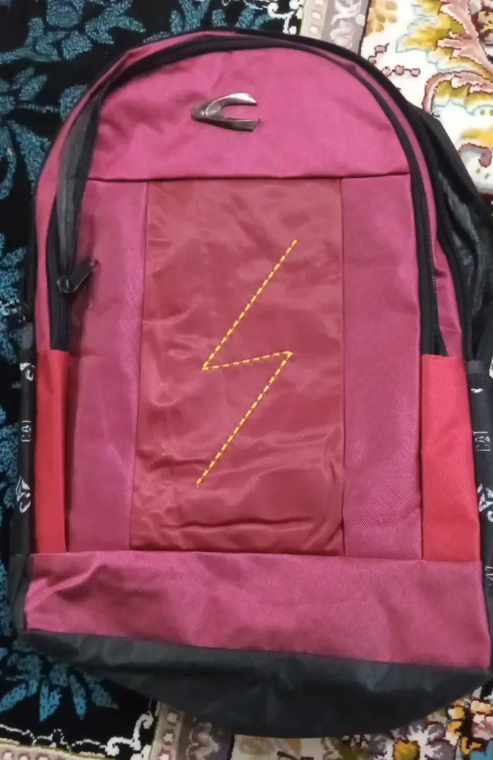 کیف|کیف، کفش، کمربند|گرگان, |دیوار