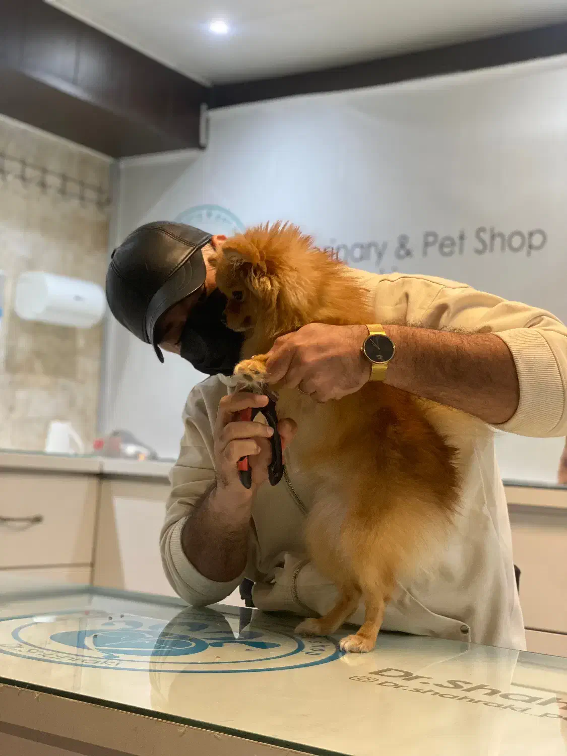 استخدام فروشنده و منشی دامپزشکی و پت شاپ|استخدام بازاریابی و فروش|گنبد کاووس, |دیوار