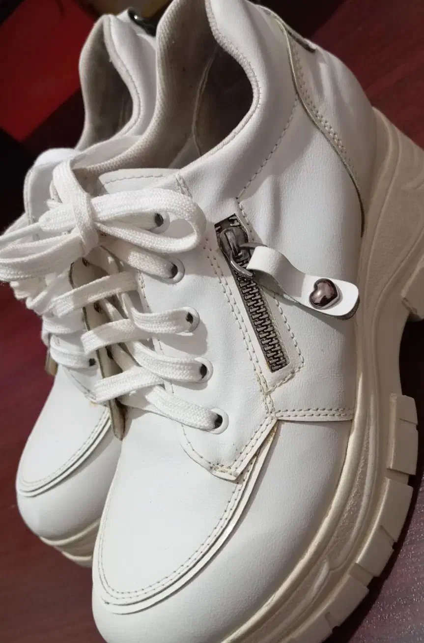 کفش زنانه|کیف، کفش، کمربند|تبریز, |دیوار