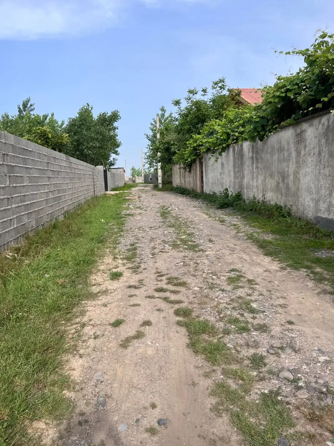 کارشناس فروش برای زمین|استخدام بازاریابی و فروش|رشت, کوی حسینی|دیوار