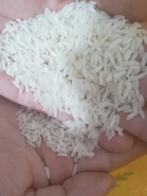برنج|خوردنی و آشامیدنی|تهران, بازار|دیوار