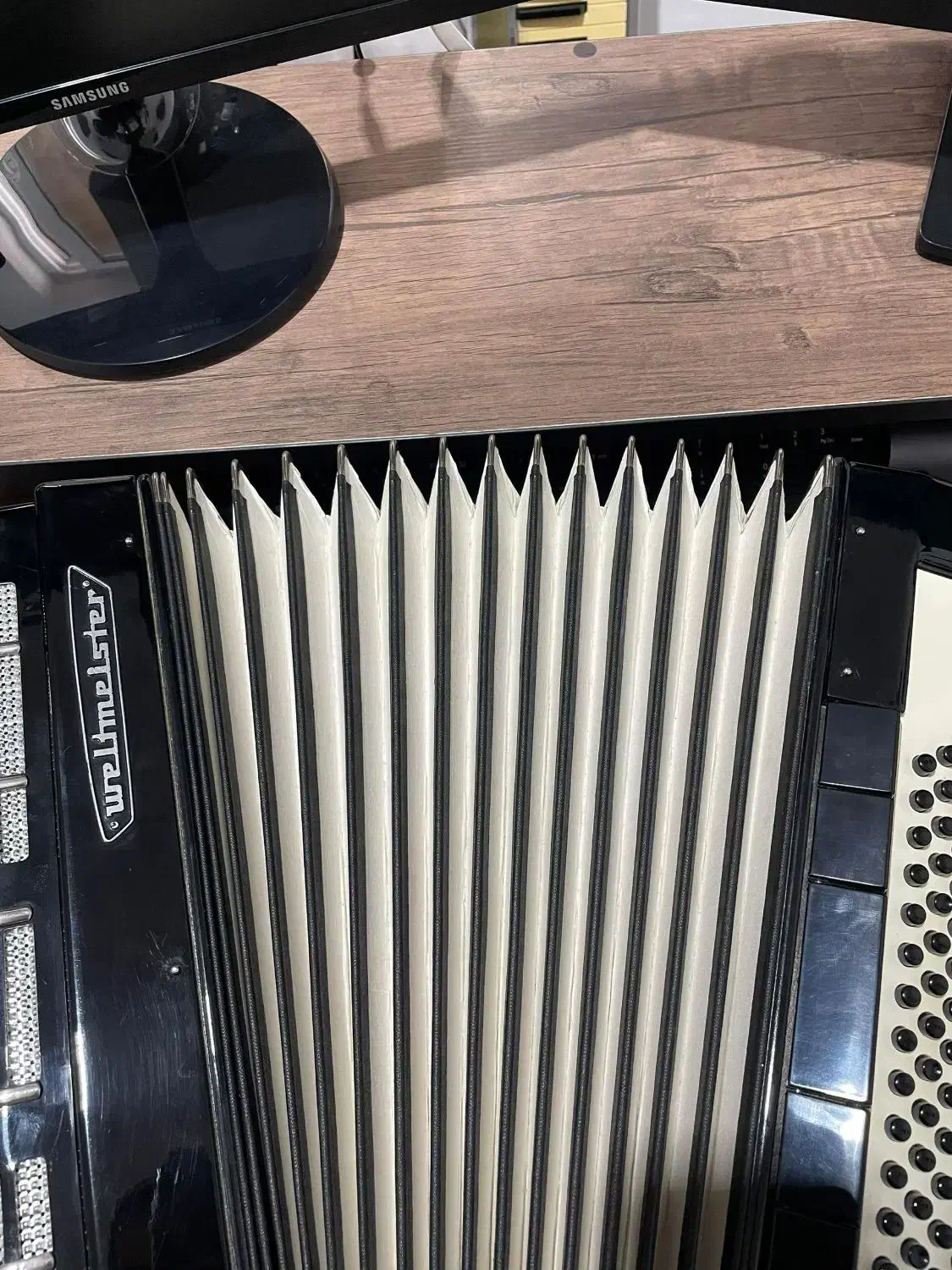 آکاردئون آلمانی ولتمسر دیانا در حد آکبند (۹۶ باس)|پیانو، کیبورد، آکاردئون|لیسار, |دیوار