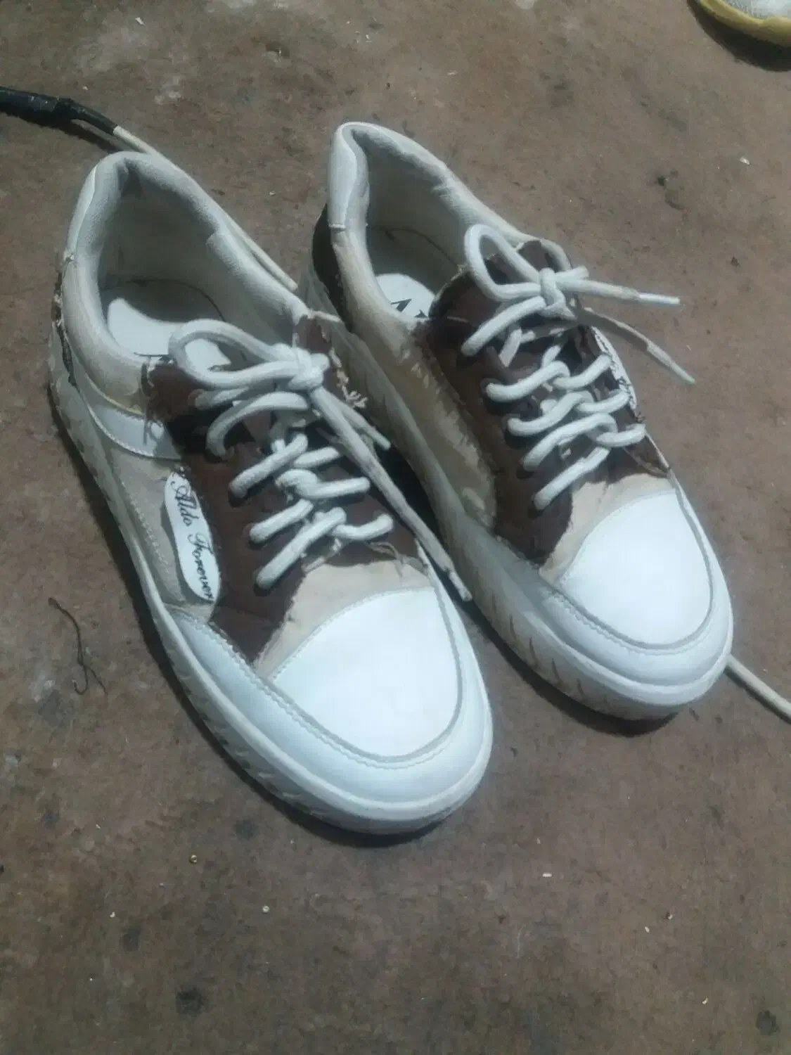 کفش|کیف، کفش، کمربند|سبزوار, قصبه شرقی|دیوار