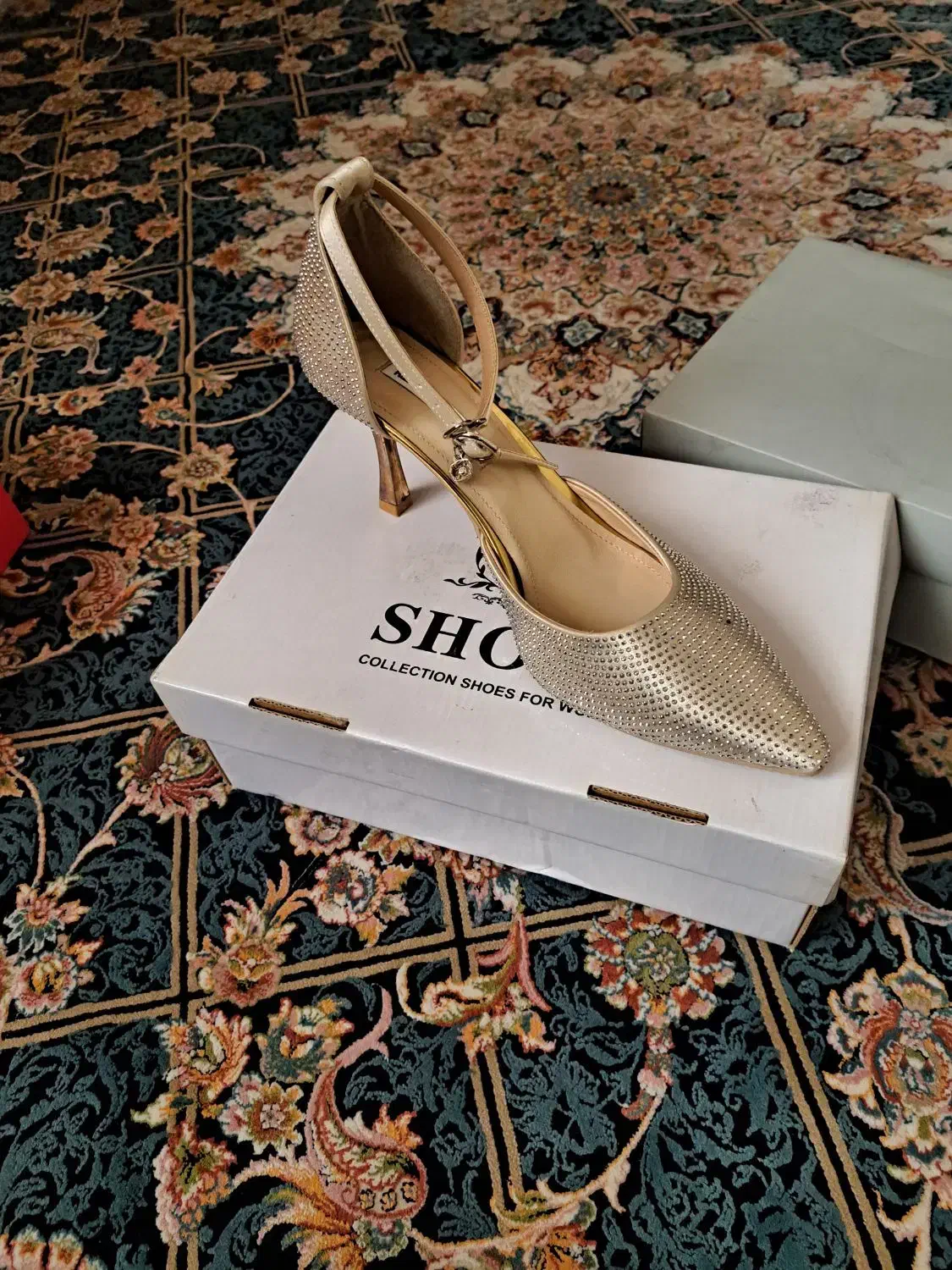 کفش مجلسی|کیف، کفش، کمربند|ری, علایین|دیوار