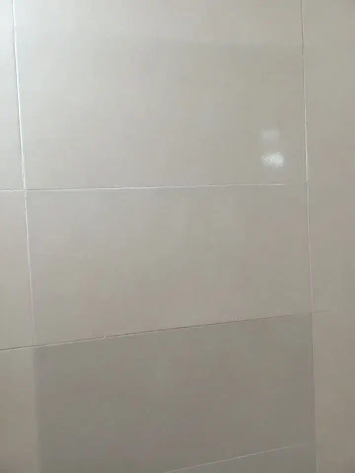 بنایی گچکاری سرامیک کاشی کاری|خدمات پیشه و مهارت|سبزوار, باهنر|دیوار