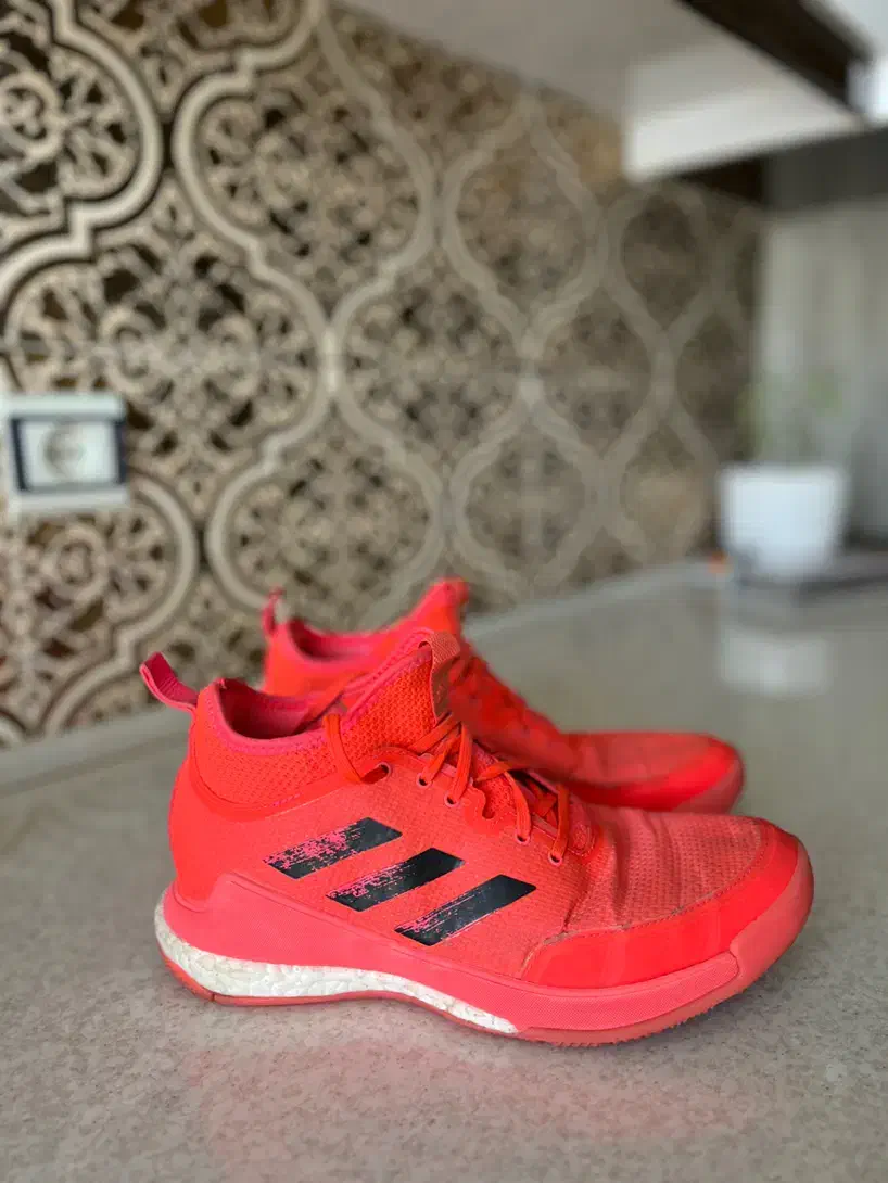 کفش والیبال ادیداس اورجینال|کیف، کفش، کمربند|مشهد, اقبال|دیوار