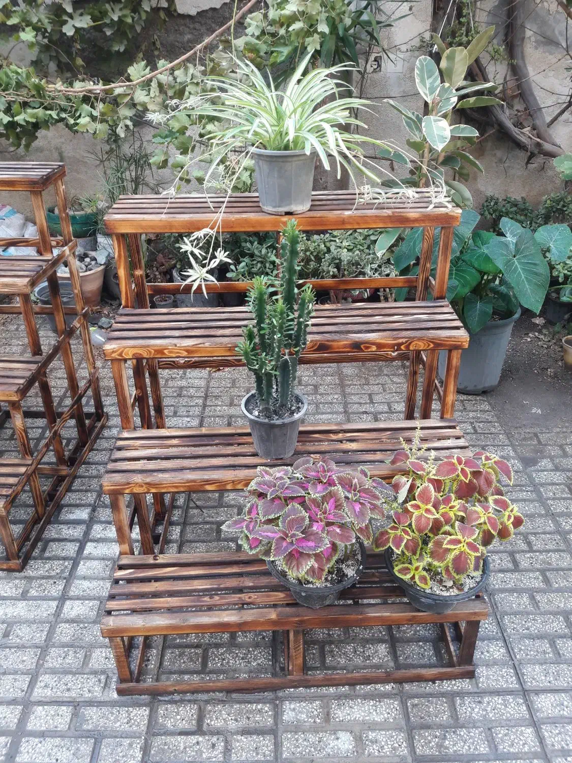 پایه گلدان|گل و گیاه طبیعی|مشهد, گلبرگ|دیوار