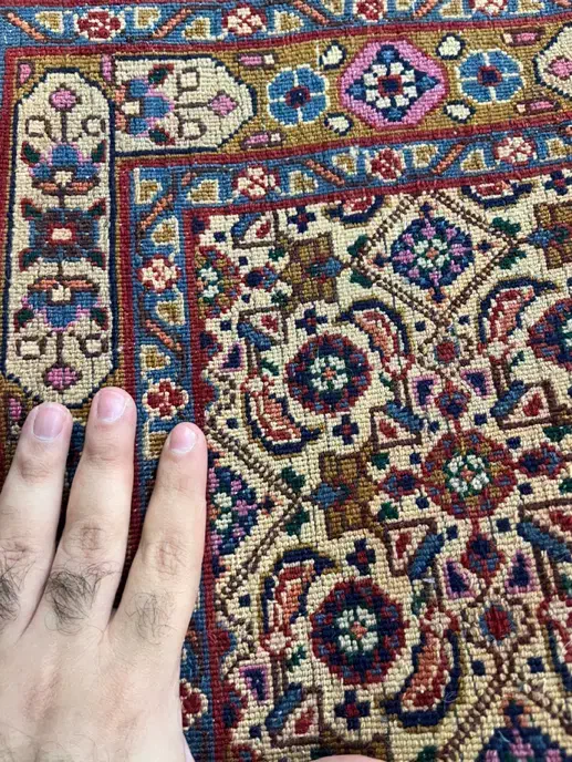 نقشه ماهی دو متری ریز بافت|فرش|تهران, مرزداران|دیوار