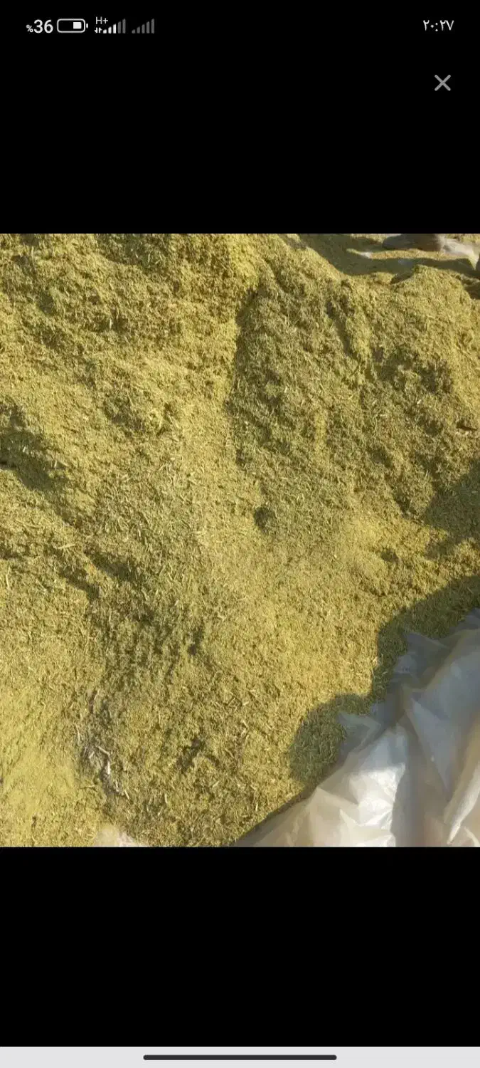 خار|لوازم جانبی حیوانات|ملک‌آباد, |دیوار